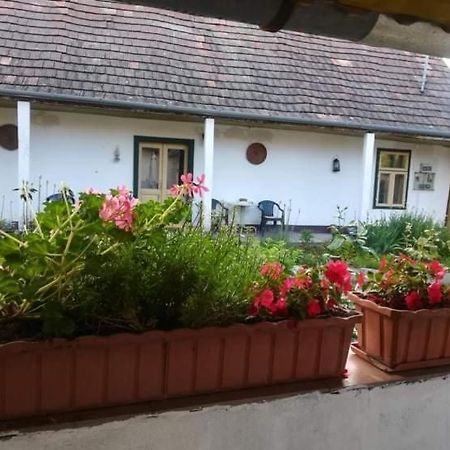 Terez Haza Hotel Pazmand Buitenkant foto