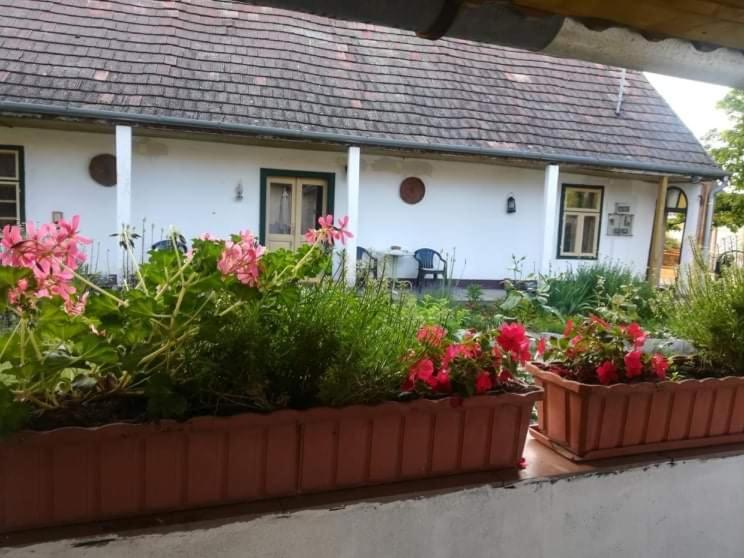 Terez Haza Hotel Pazmand Buitenkant foto